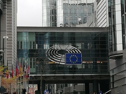  <a style='color: #fff;' href='/uploaded/photo/bruxelles-5dbcb3684bdde.jpg'>(Télécharger)</a>