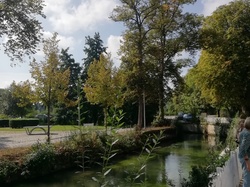  <a style='color: #fff;' href='/uploaded/photo/dejeuner-pavillon-bleu-et-visite-zoo-61954fd4bc5e1.jpg'>(Télécharger)</a>