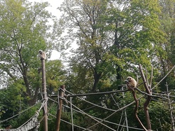  <a style='color: #fff;' href='/uploaded/photo/dejeuner-pavillon-bleu-et-visite-zoo-61955014146f3.jpg'>(Télécharger)</a>