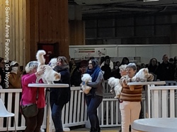  <a style='color: #fff;' href='/uploaded/photo/salon-de-l-agriculture-paris-640b54bb05019.jpg'>(Télécharger)</a>